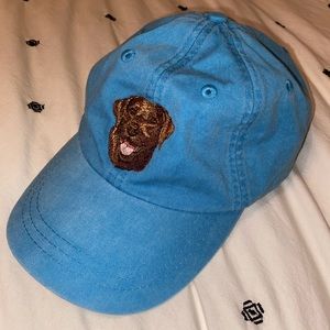 Blue embroidered chocolate lab hat